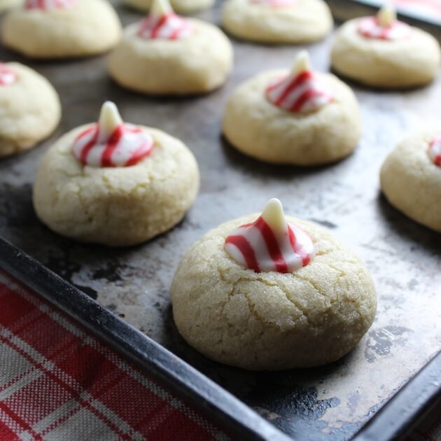 Three rows of Peppermint Thumbprint Sugar Cookies on baking sheet
