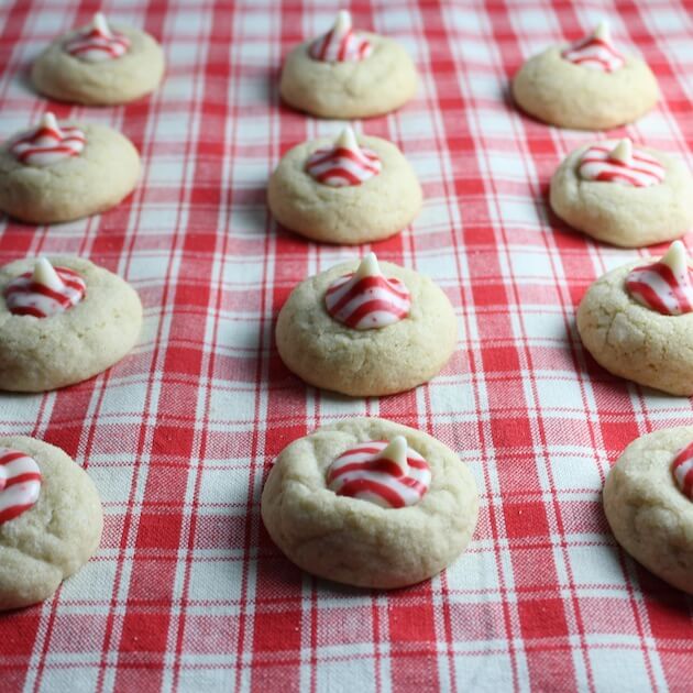 Three rows of Peppermint Thumbprint Sugar Cookies on red and white holiday tablecloth