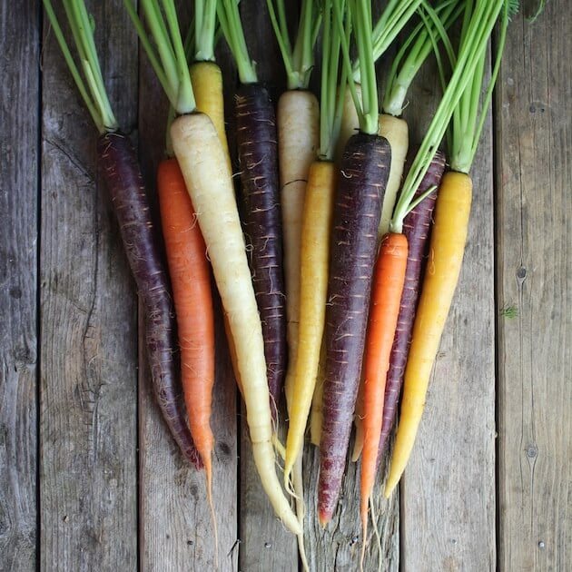 Honey Harissa Rainbow Carrots | Taste And See