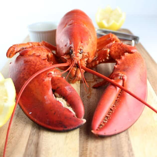 Head on view of bright red cooked lobster on cutting board