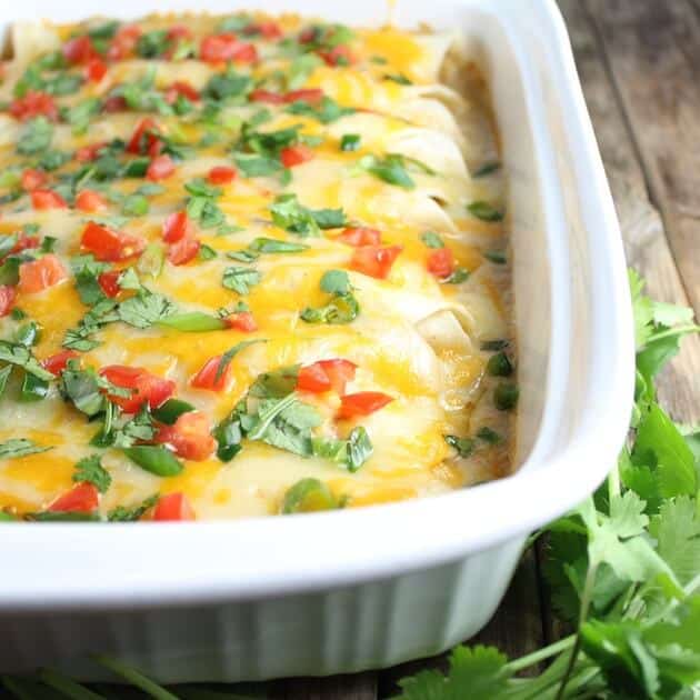 Eye level close up of Cheesy Chicken Enchiladas in casserole dish garnished with tomatoes and cilantro 