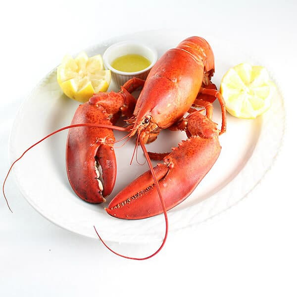 boiled lobster with drawn butter on a platter
