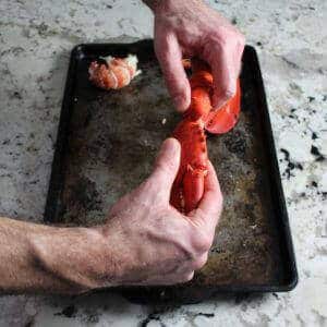 Removing Lobster claw knuckles