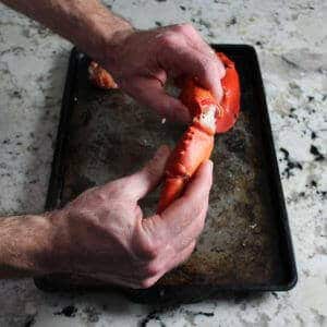 REmoving pincer from lobster claw