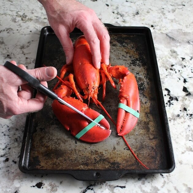Removing bands from lobster claws after cooking