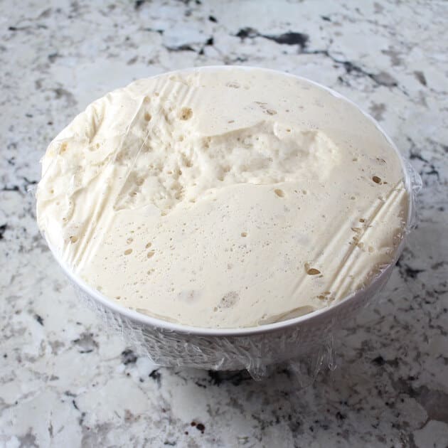 dough in bowl with plastic wrap