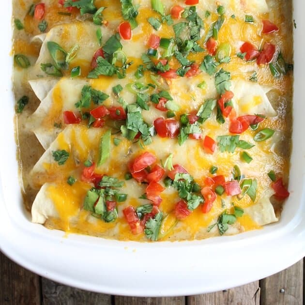 Four Chicken Enchiladas in casserole dish garnished with chopped tomatoes and cilantro