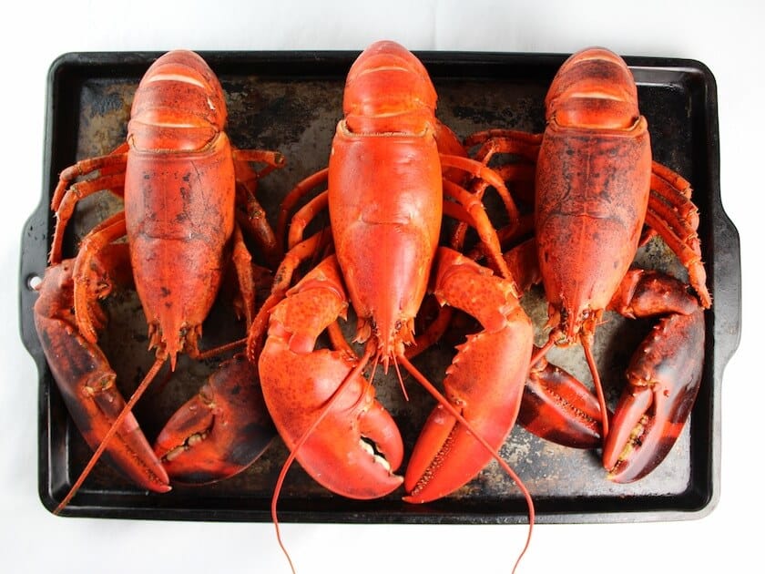 Three cooked lobsters on baking sheet