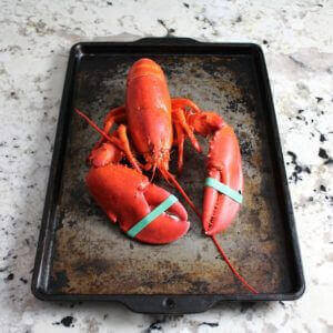 Cooked bright red Lobster on granite counter
