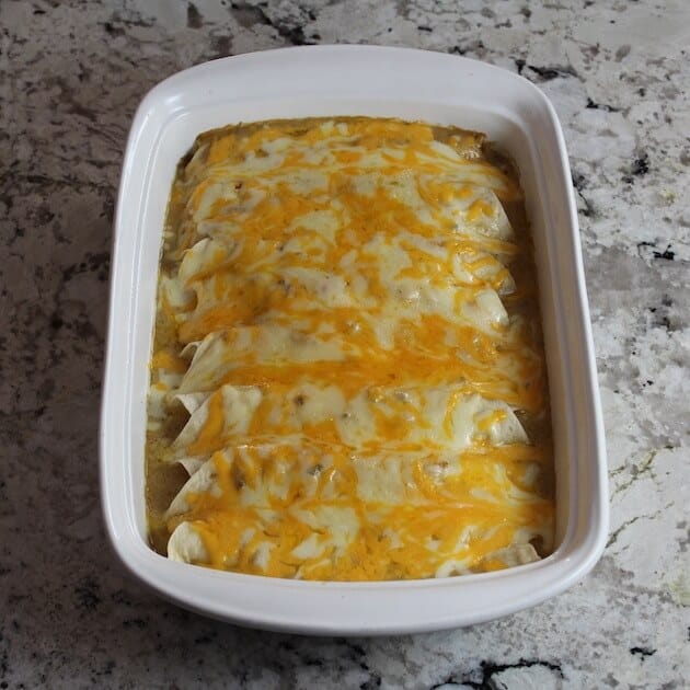 Chicken Enchiladas with white and yellow cheese melted on top