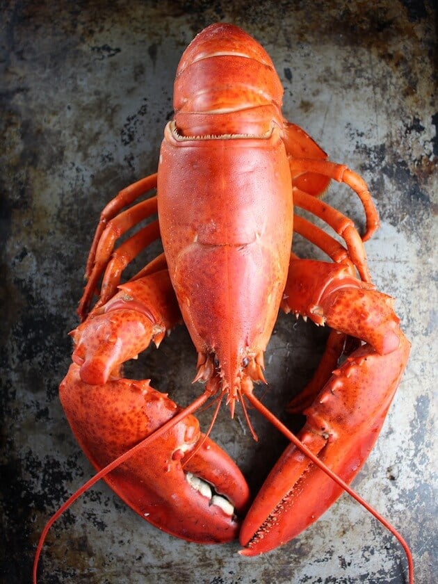 Bright red cooked lobster on baking sheet