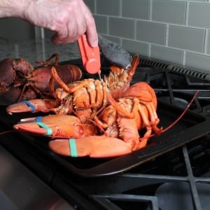 Using a meat thermometer to check temperature of cooked lobster