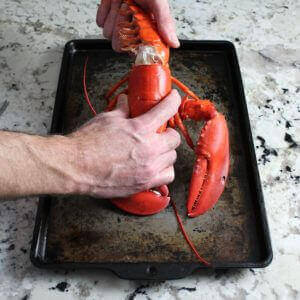 Removing tail from cooked lobster