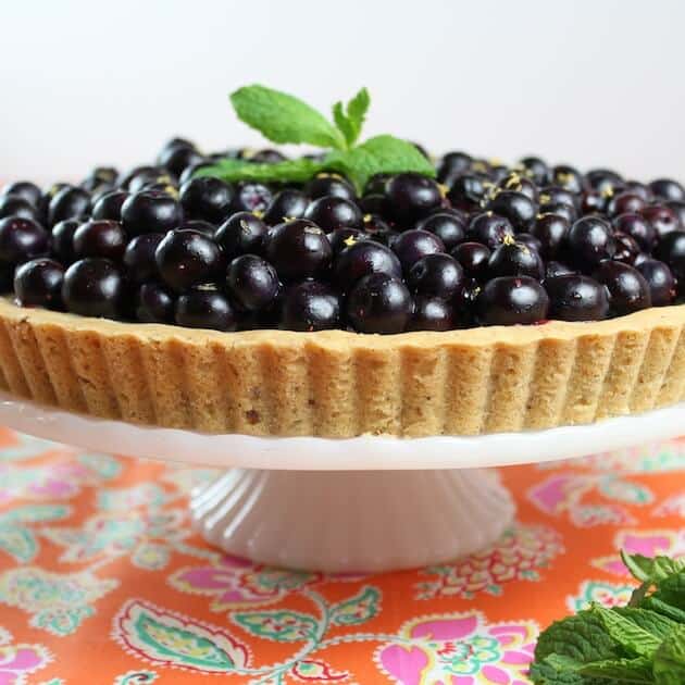 Whole Blueberry Mascarpone up close eye level 