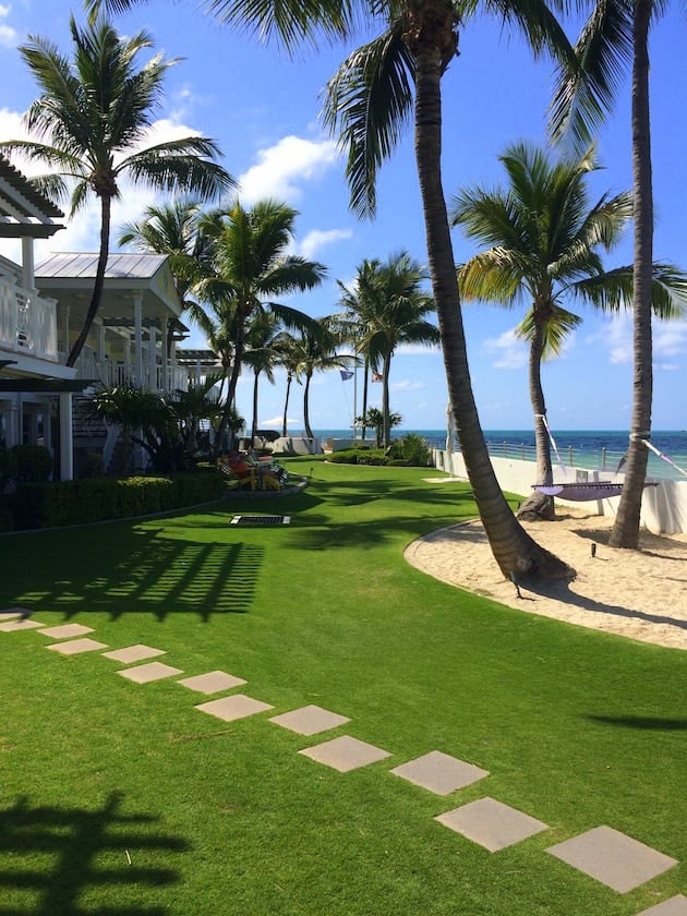 Green lawn with palm trees on the Gulf of Mexico