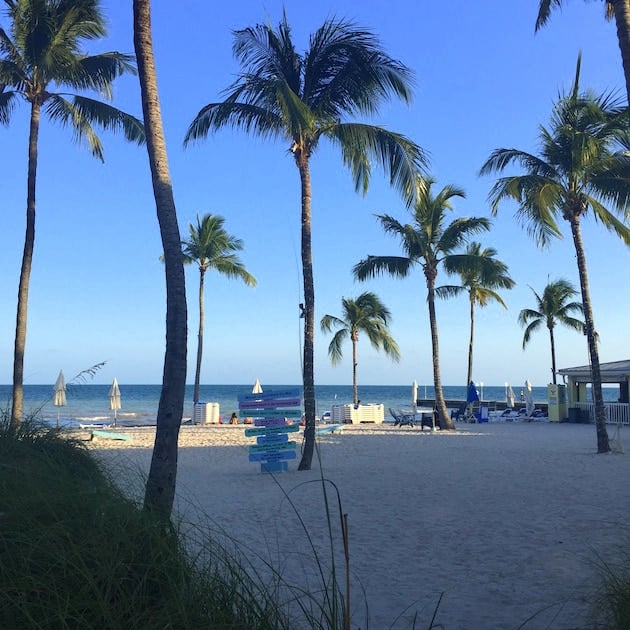 Beach with palm trees at Southernmost Beach Resort in Key West