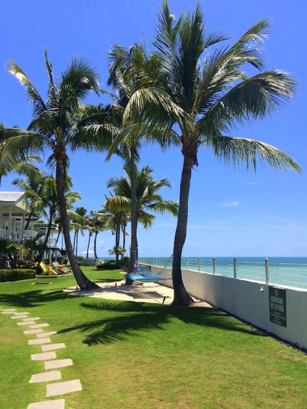 Green lawn and palm trees at the edge of the Gulf of Mexico Key West 