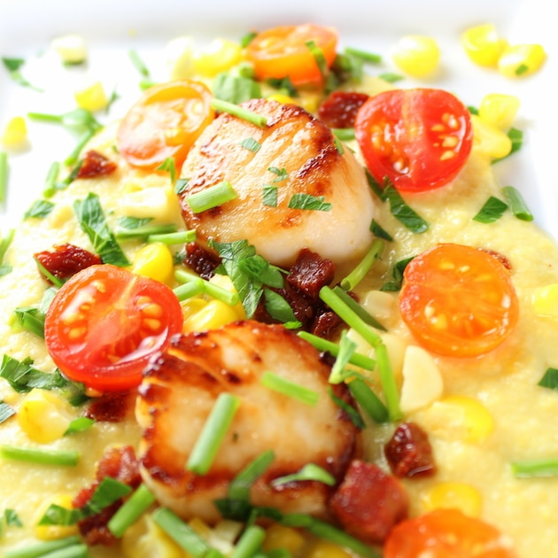 Very Close up of seared scallops on a bed of corn puree