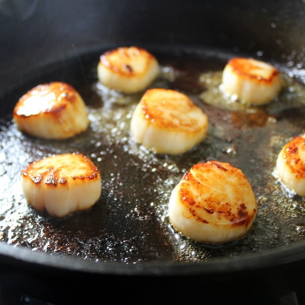 Eye level close up scallops searing in a cast iron skillet