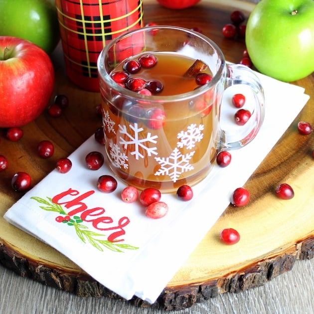 Warm Cranberry Apple Hard Cider