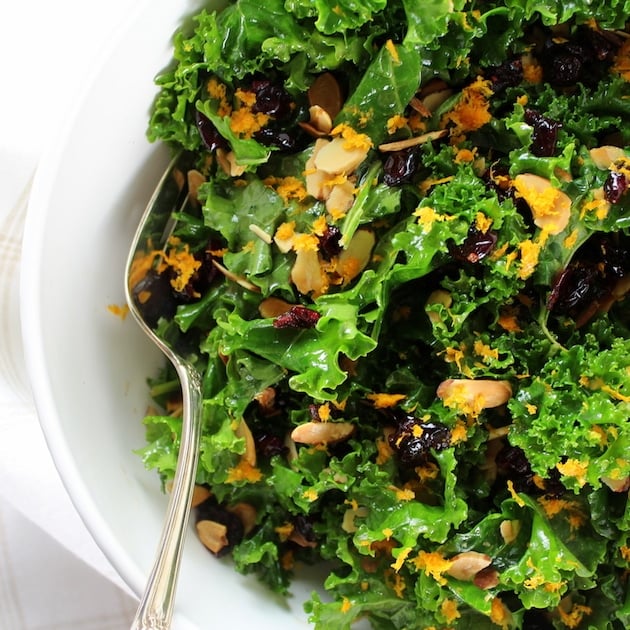 Partial Dish Kale Orange Cranberry Salad