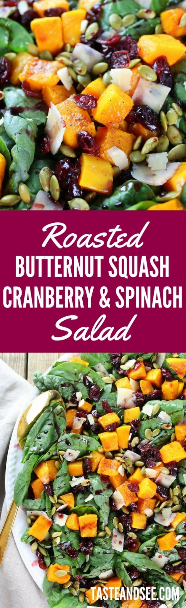 roasted butternut squash, cranberry and spinach salad with a cran-cabernet dressing