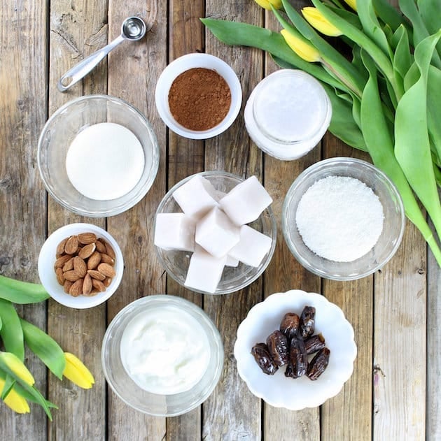 Ingredients for coconut almond chocolate protein smoothie