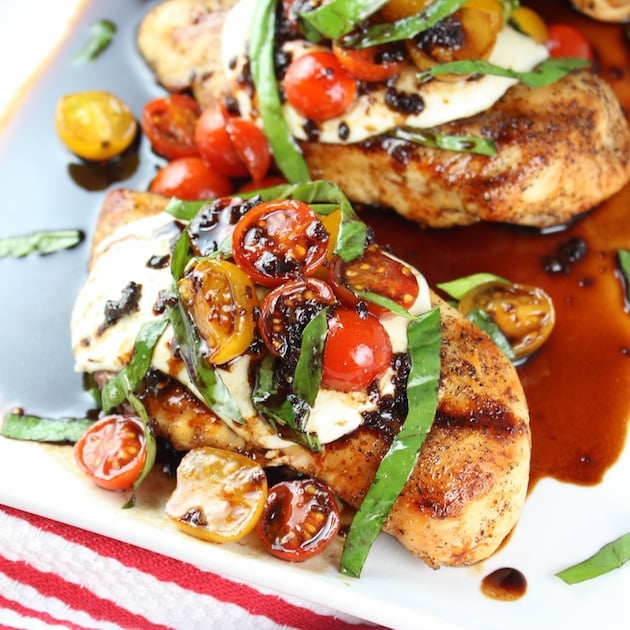 Grilled Chicken Caprese With Buffalo Mozzarella Cheese OFF