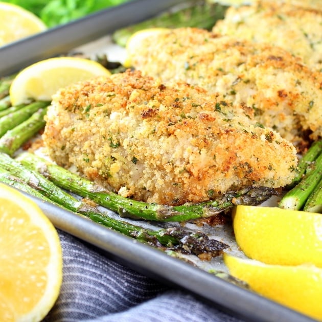 Eye level close up Parmesan Pork Chops 