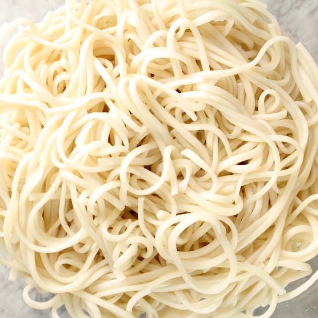 Close up of Udon noodles 