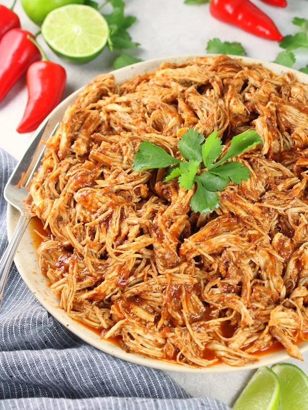 A partial plate with pulled Mexican chicken with sauce.