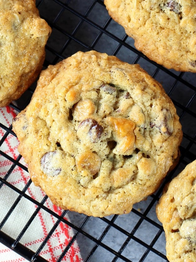 A close-up photo of Oatmeal Chocolate Chip Butterscotch Cookies on a cooling rack.