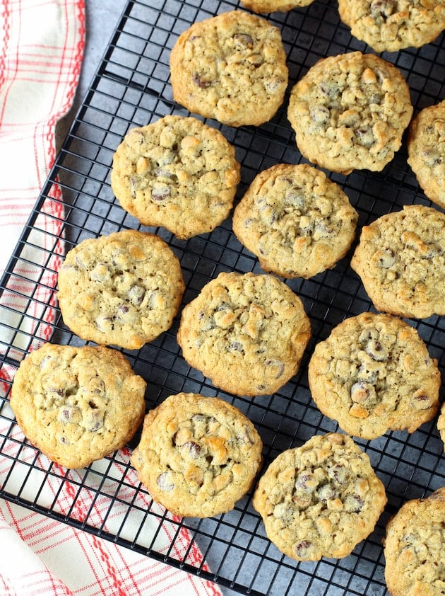 An over-the-top photo of Oatmeal Chocolate Chip Butterscotch Cookies on a cooling rack.