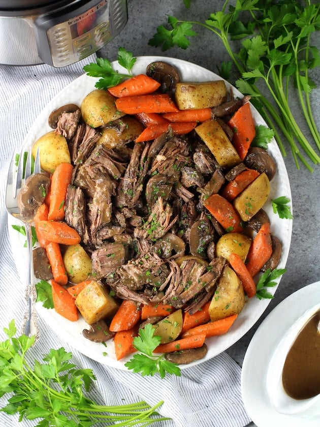 Slow cook a roast online in an instant pot