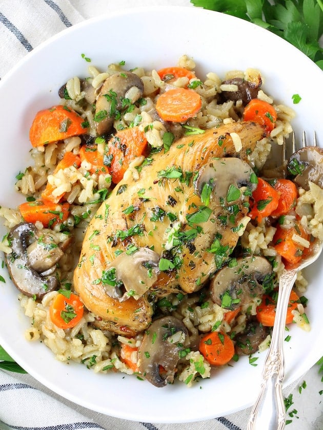 Easy Instant Pot Chicken and Rice on a plate