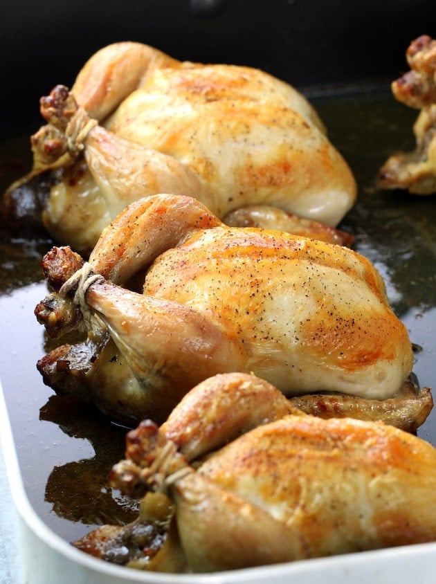 A close up of cooked Cornish game hens