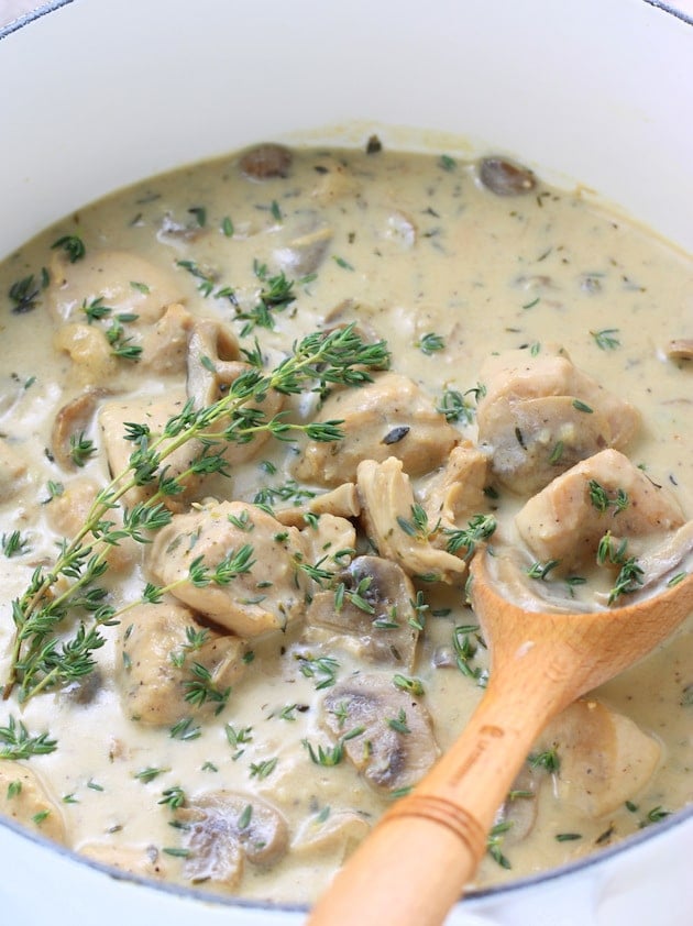 Eye level closeup of wooden spoon in pot of creamy mushroom chicken soup