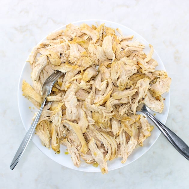 Shredded chicken on plate with two forks