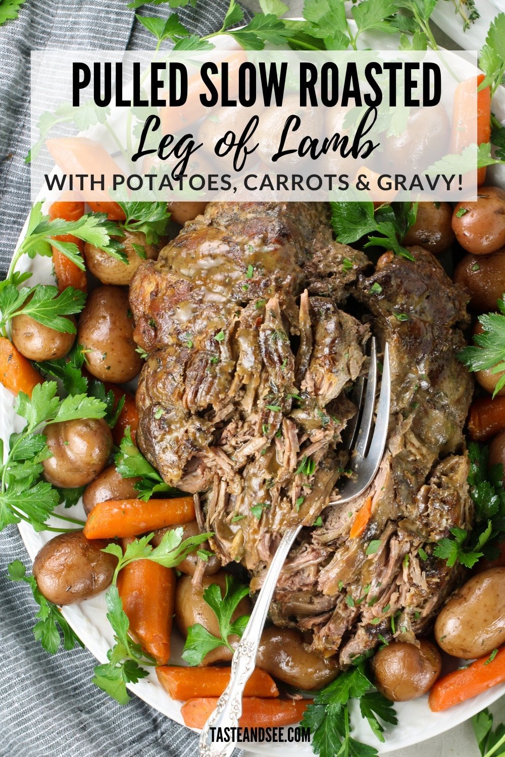 Pulled Slow Roasted Leg of Lamb Taste And See