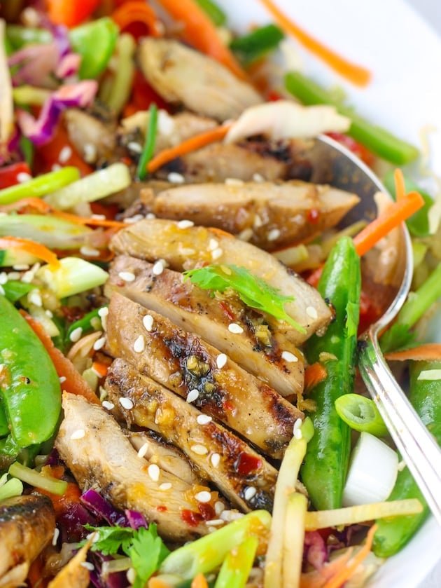 Very close up eye level grilled chicken over asian salad