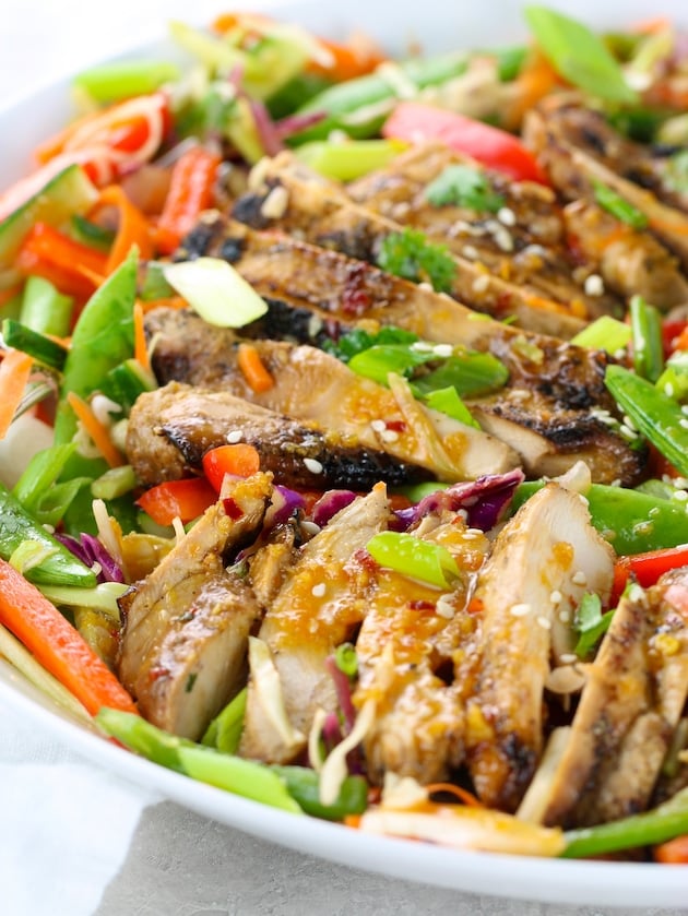 Close up eye level grilled chicken over asian salad