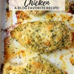 Baked Parmesan Chicken in a white baking dish.