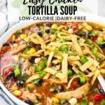 Chicken Tortilla Soup in a bowl with tortilla strips on top.