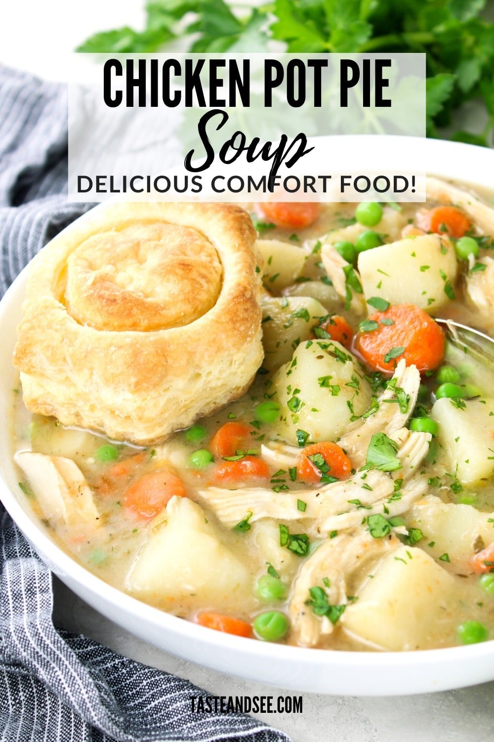 Chicken Pot Pie Soup - Taste And See