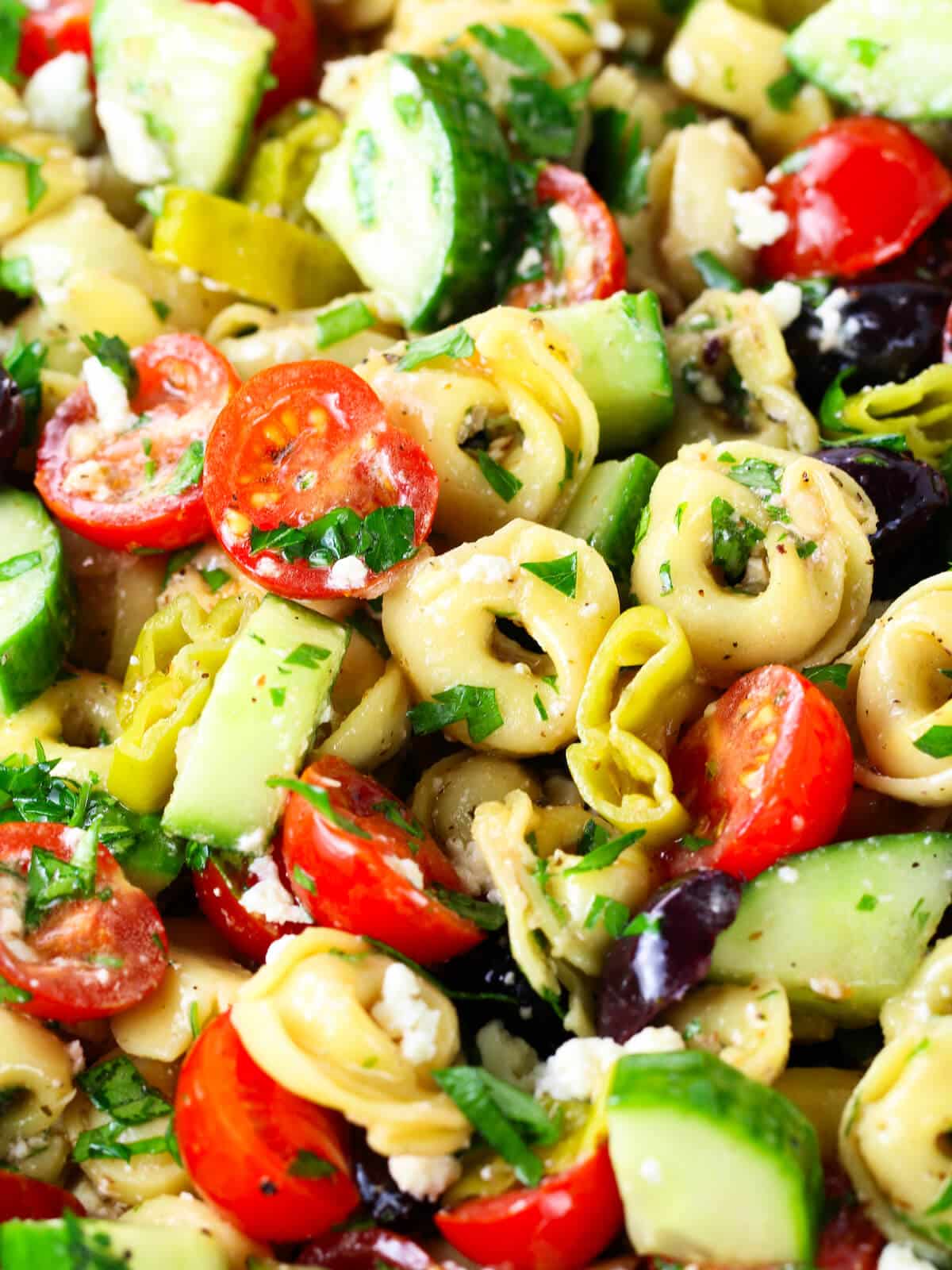 A close-up photo of this delicious summer salad with tortellini and Greek seasoning.