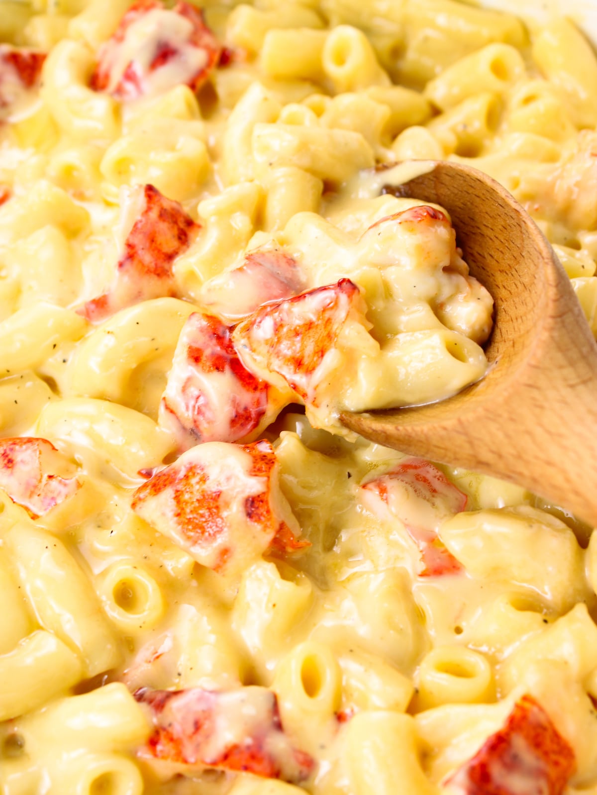 A wooden spoon in a pot with mac and cheese and lobster.