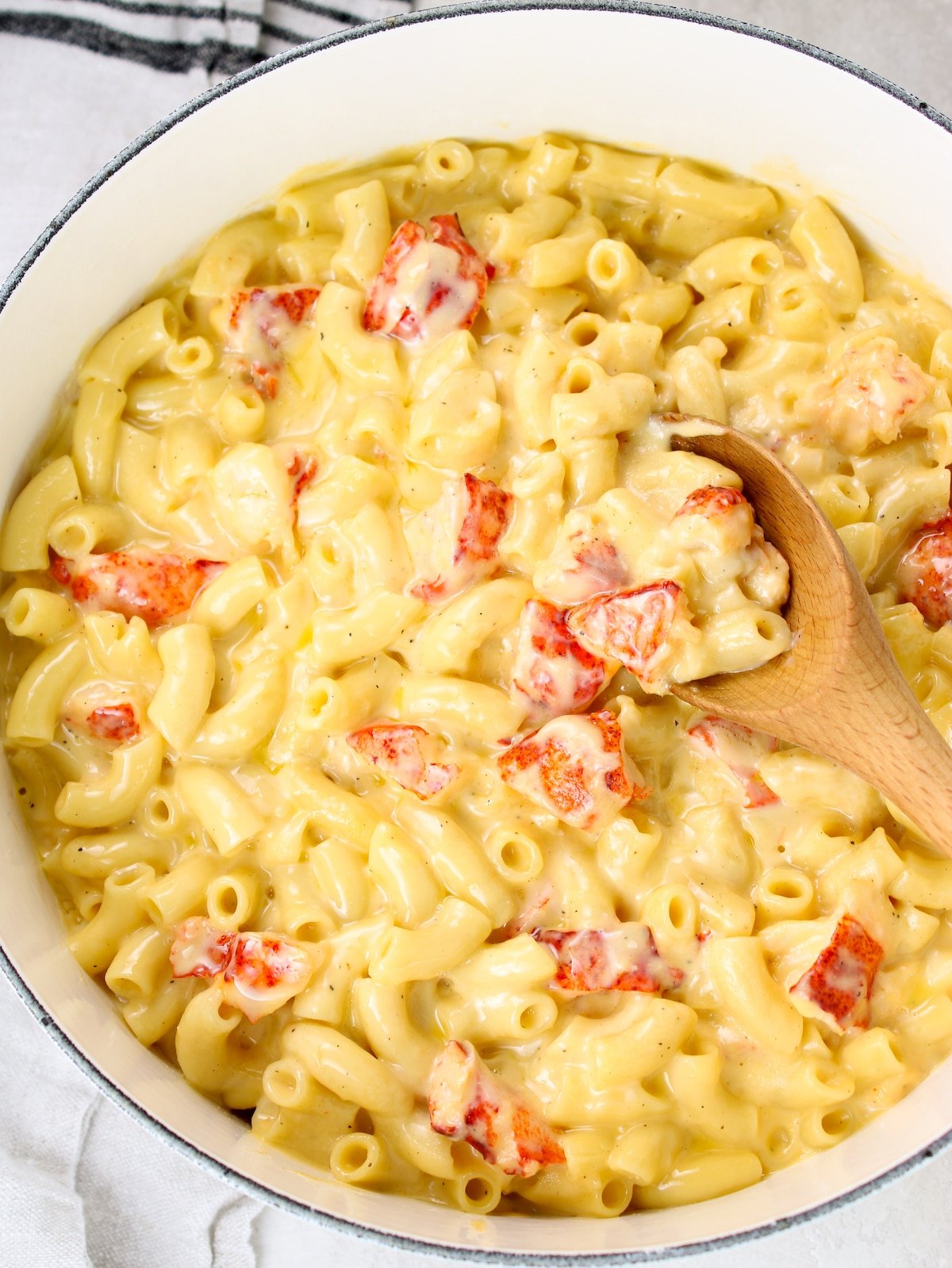 A large pot with Macaroni and Cheese with chopped pieces of lobster mixed in.