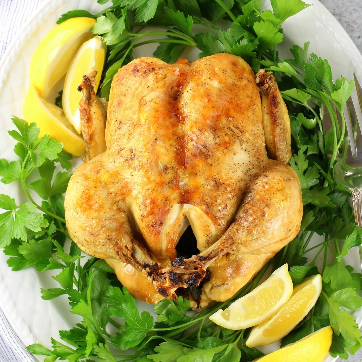 https://tasteandsee.com/wp-content/uploads/2023/11/Whole-chicken-cooked-in-the-iP-and-ready-for-the-oven.jpg