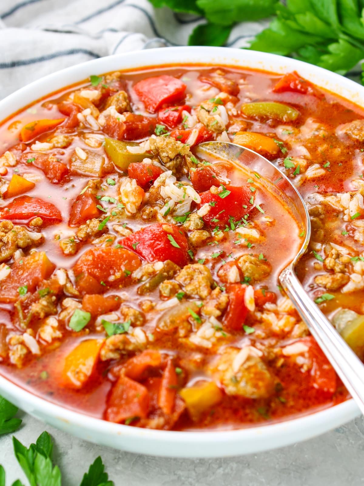 A close-up photo of a bowl of stuffed pepper soup.