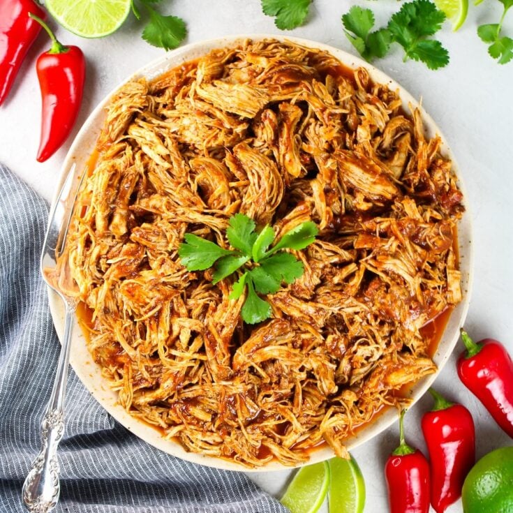 1200x1200 Shredded Mexican Chicken on a plate.